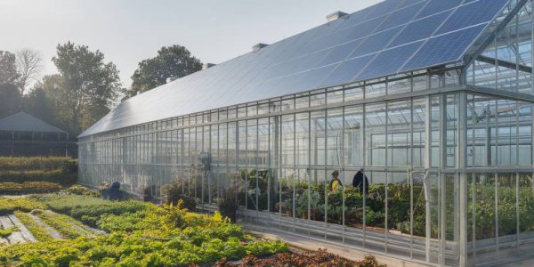 "Optimisation des serres agricoles grâce à l'énergie solaire : vers une agriculture durable"